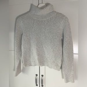 Brandy Melville Light Gray Turtleneck Sweater